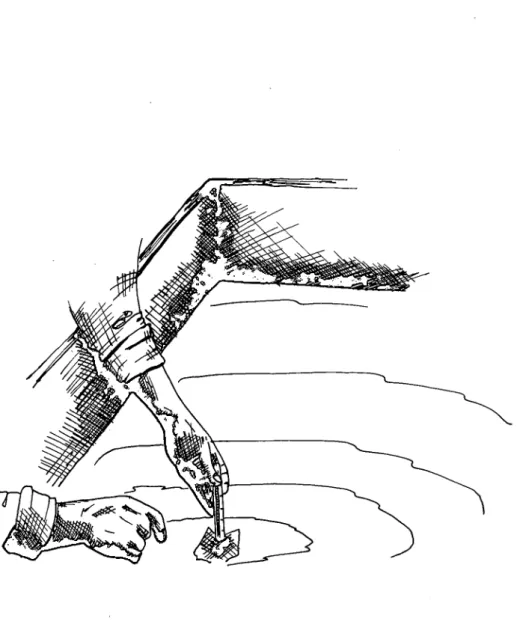 Fig. 3. Observación del momento óptimo para el corte.
