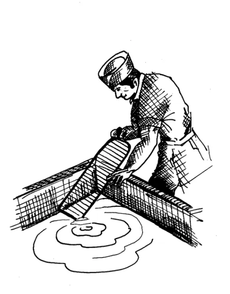 Fig. 4. Introducción de la lira horizontal.