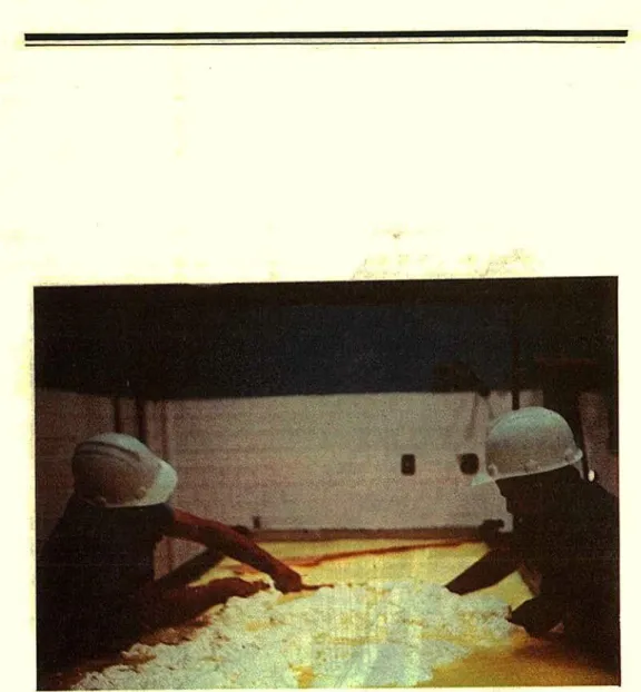 Fig. 6. Agitación de la cuajada después de cortada.