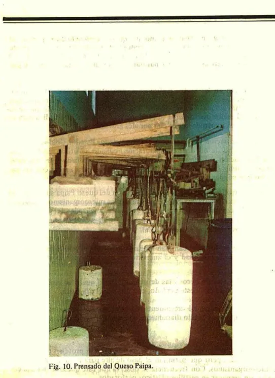 Fig. 10. Prensado de) Queso Paipa.