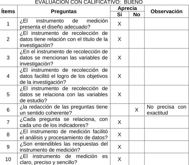 TABLA DE EVALUACIÓN DEL EXPERTO 