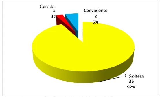 Gráfico Nro 7 