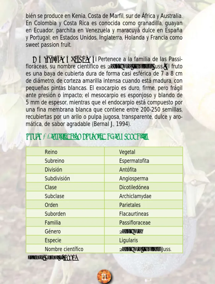 Tabla 1. Clasificación botánica de la granadilla.