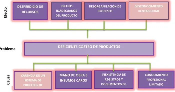 Gráfico Nº 5: Árbol de problemas 