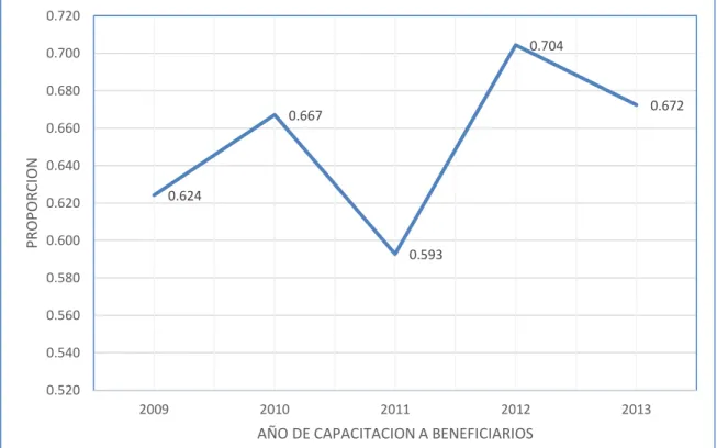 Gráfico N° 11 