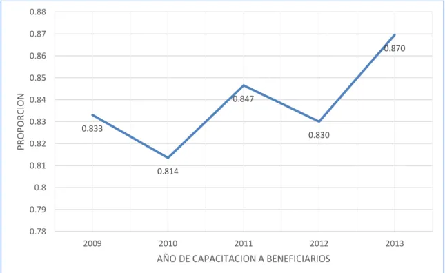 Gráfico N° 12 
