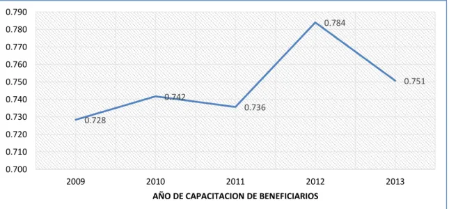 Gráfico N° 13 