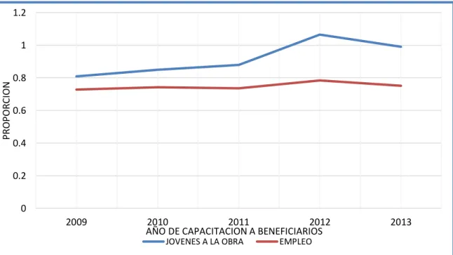 Gráfico N° 13 