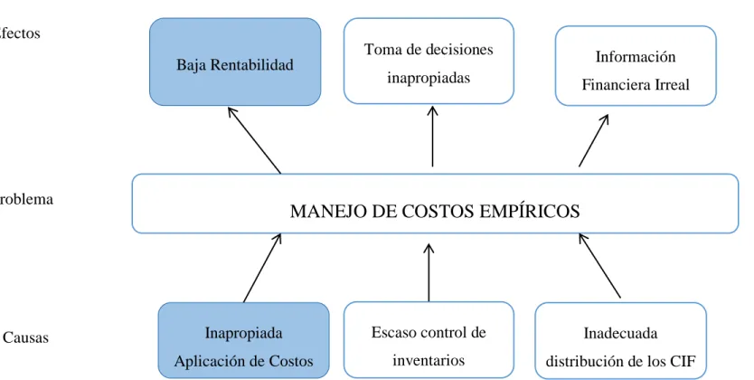 Gráfico N° 1 Árbol de Problemas 