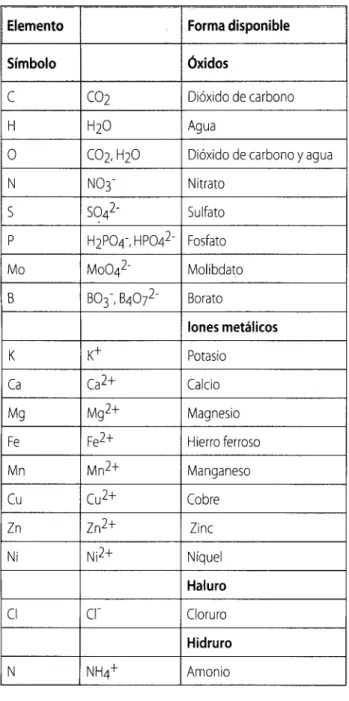 Tabla 3. Elementos esenciales para las plantas.