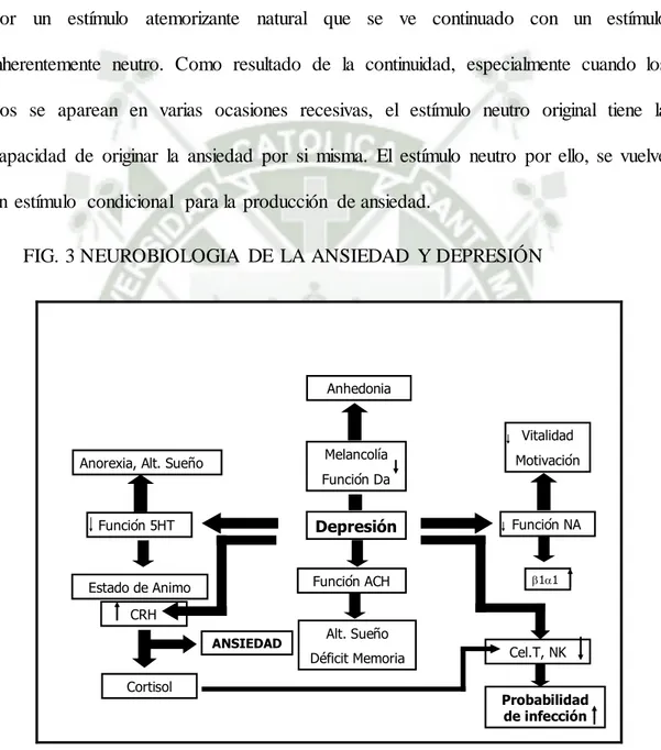 FIG. 3 NEUROBIOLOGIA  DE  LA ANSIEDAD  Y DEPRESIÓN 