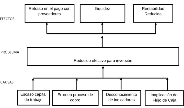 Gráfico 1.1.Árbol de Problemas 
