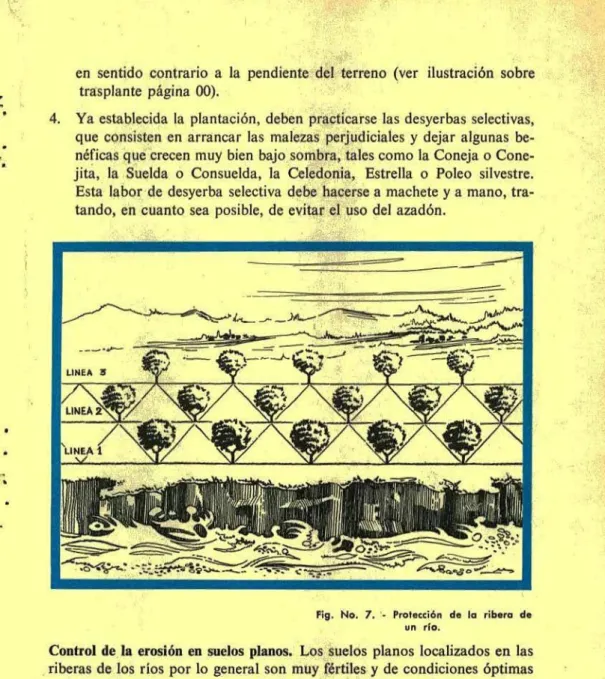 Fig. No. 7. • Protección de la ribera de un río.