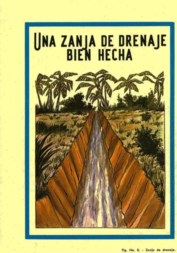 Fig. No. 8. - Zanjo de drenaje.