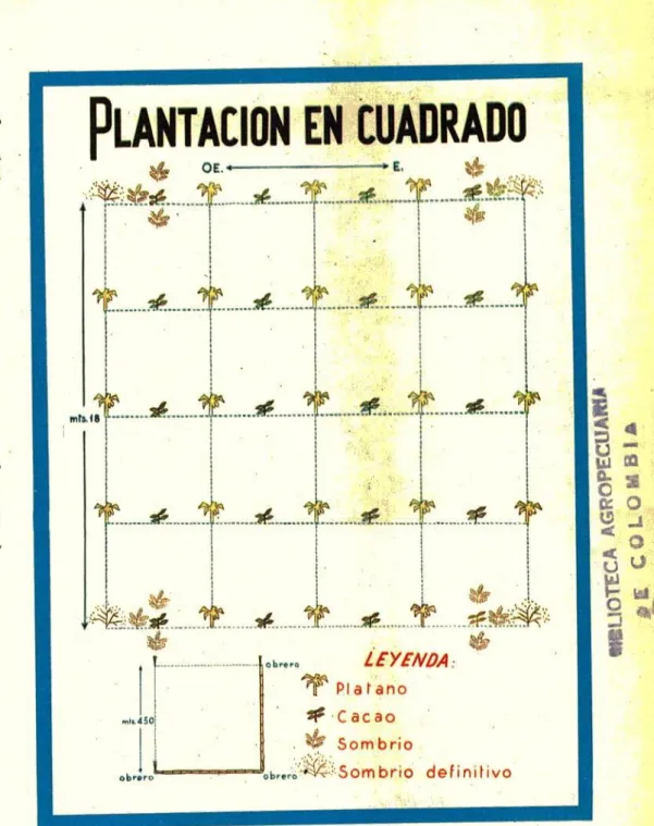 Fig. No. 11. . Trazado en cuadro.