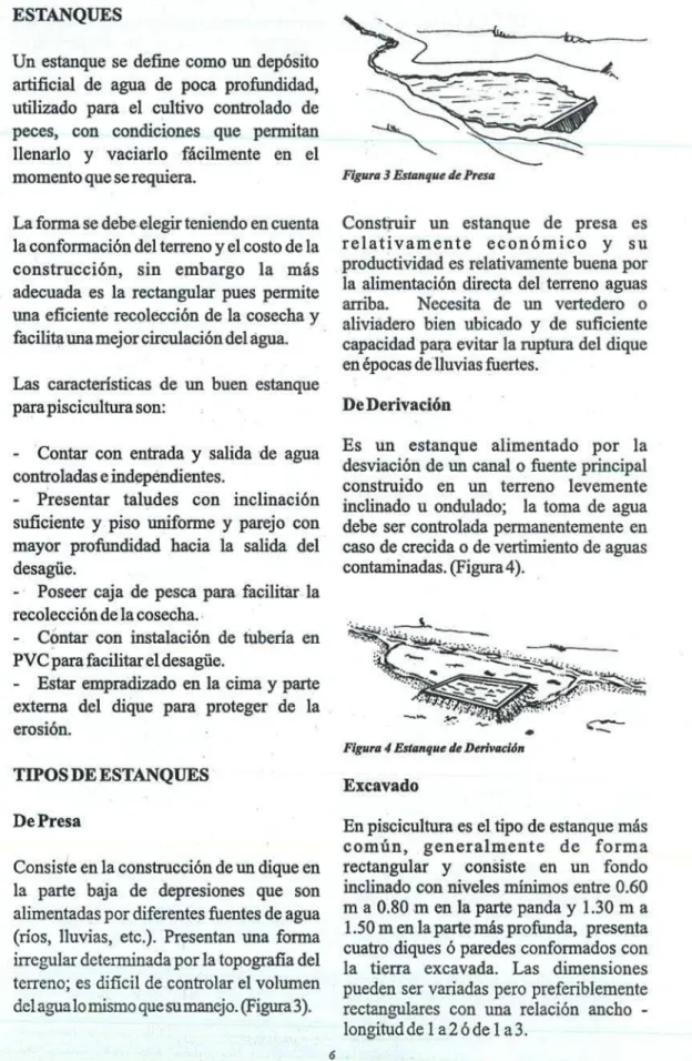 Figura 3 Estanque de Presa