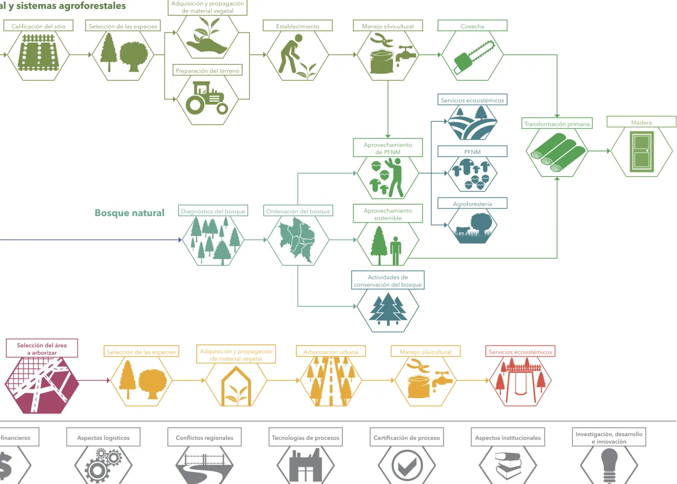 Figura 5. Mapa de procesos Subsector Forestal