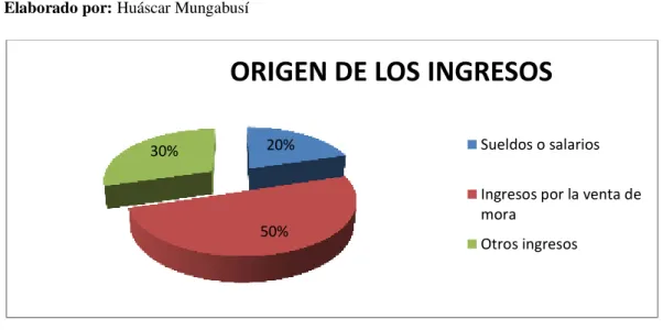 Tabla 4:Origen de Ingresos económicos 