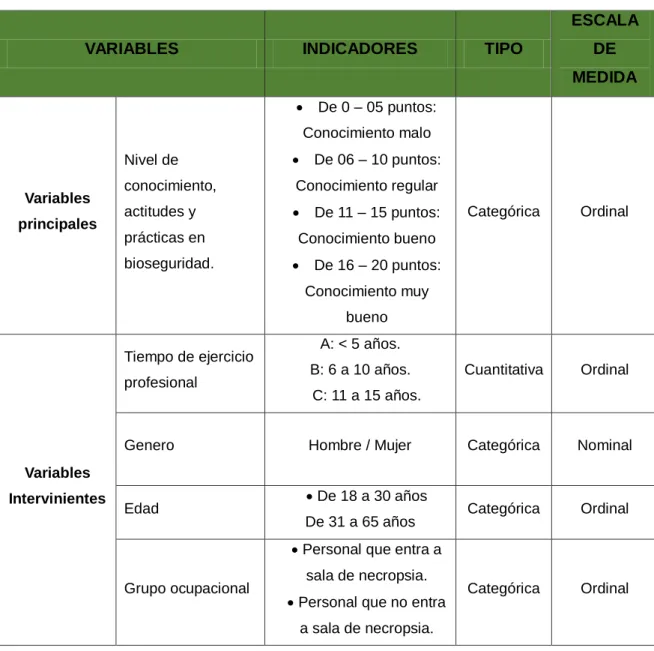 Tabla 3: Variables e indicadores a intervenir en el estudio. 