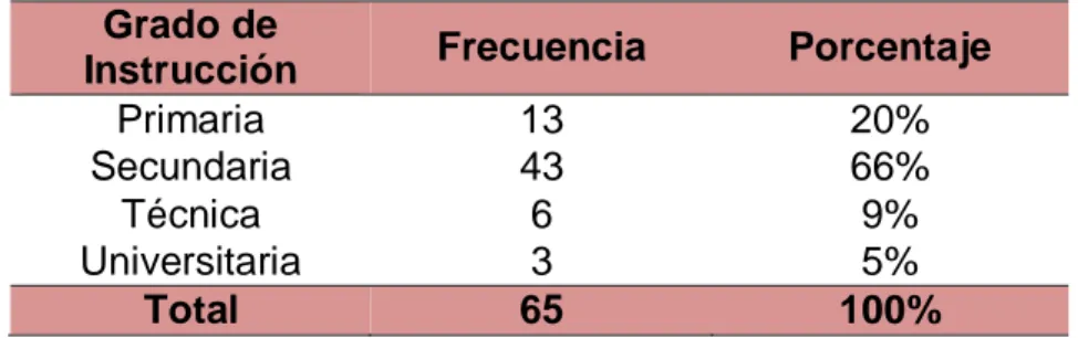 Tabla  3:  Grado  de  Instrucción  de  gestantes  con  diagnóstico  de  DIP  III  atendidas en el C