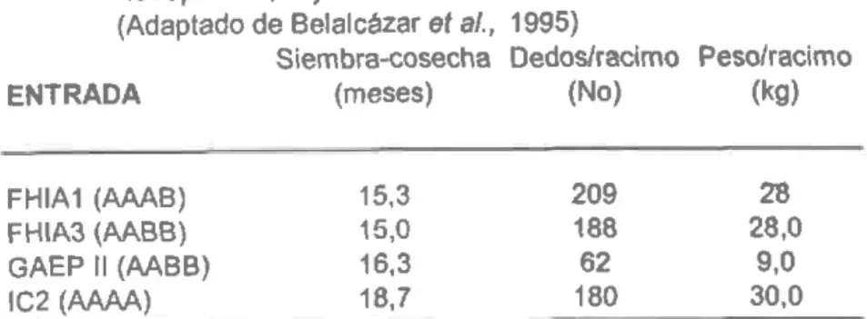 Tabla 15. Parámetros  de desarrollo  y producción  de diferentes  clones tetraploides,  bajo condiciones  de la zona cafetera  central (Adaptado  de Belalcázar  ef al,  1995)