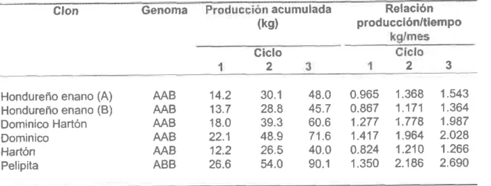 Tabla 4.  Producc¡ón  acumulada  y relaclón kg/mes de clones de plátano (AAB y ABB). (Adaptado de Belalcazar et al., 19901.