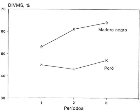 FIGURA S. Variación de la DIVMS del follaje de madero negro y poró en diferentes perío- perío-dos de 21 días (Rodríguez  el al.,  1987)