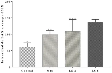 Figura  4.  Efectos  del  látex  de  Sande  en  la  expresión  de  la  proteína 