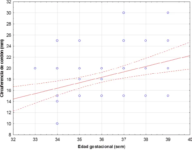Gráfico  10  la  relación  entre  la  circunferencia  del  cordón  y  la  edad;  el  cordón  crece  también  pero  a  un  ritmo  más  lento,  con  una  regular  correlación  entre  ambas variables (r = 0.36) con una dependencia de solo 13.61% entre ambas  