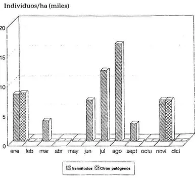 FIGURA 2. Promedio por hecátera del nemátodo  He-