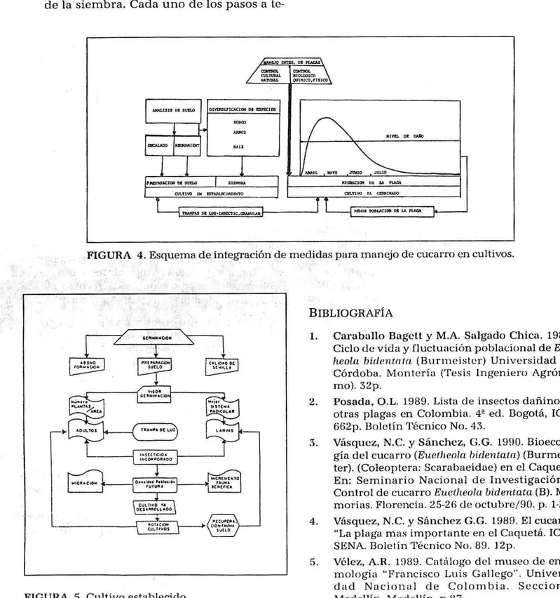 FIGURA 4. Esquema de integración de medidas para manejo de cucarro en cultivos.