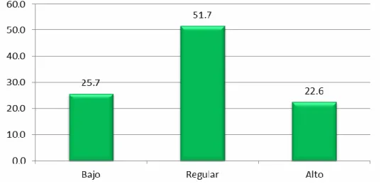 Gráfico N° 01 