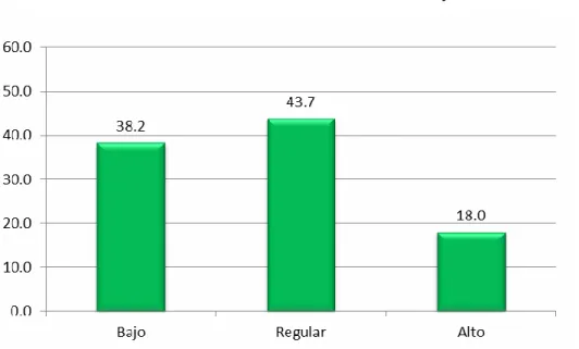 Gráfico N° 02 