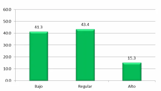Gráfico N° 04 