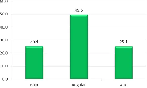 Gráfico N° 05 
