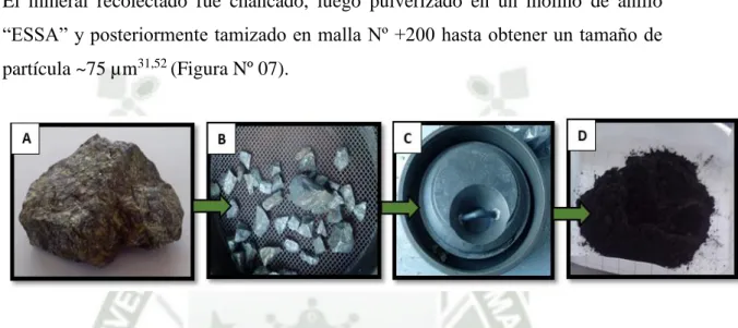 Fig  Nº  07.  Secuencia  de  tamizado  del  mineral.  A:  Rocas  de  calcopirita  recolectada  B: 