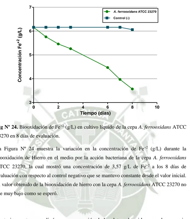 Fig Nº 24. Biooxidación de Fe +2  (g/L) en cultivo líquido de la cepa A. ferrooxidans ATCC  23270 en 8 días de evaluación