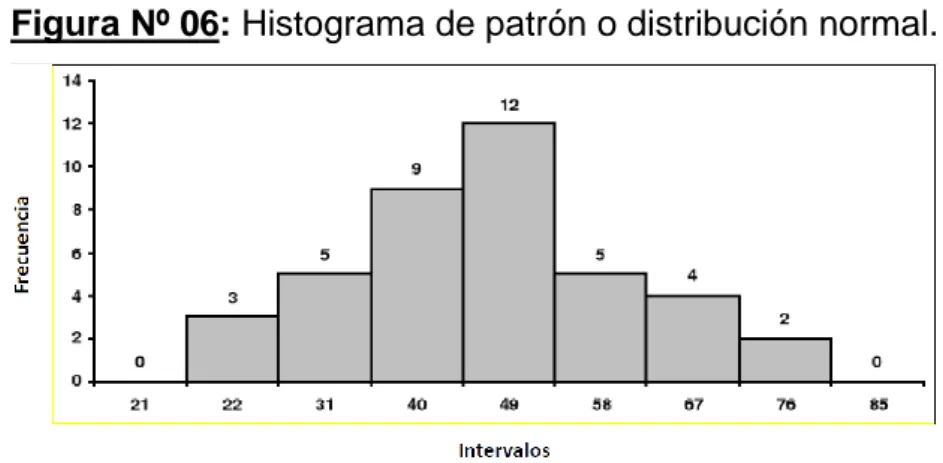 Figura Nº 06: Histograma de patrón o distribución normal. 