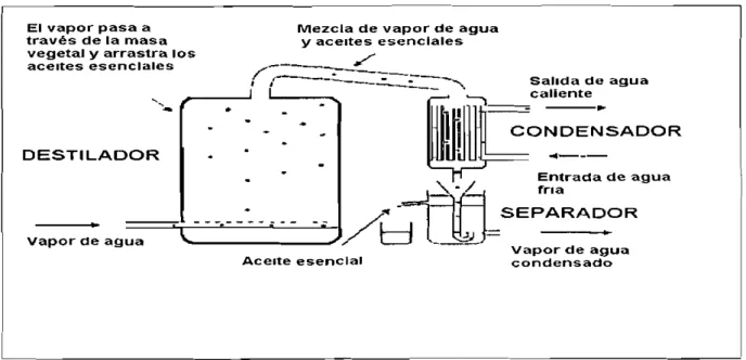 Figura 5 Estructura de equipo utilizado en el metodo de destilaclon por arrastre a vapor con agua