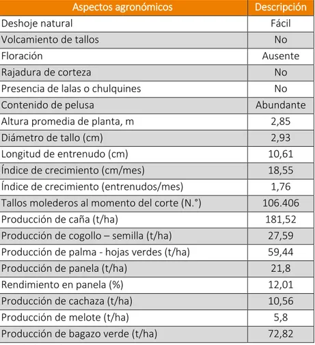 Tabla  4.  Parámetros  de  identificación  y  comportamiento  agronómico  de  la  variedad CC 91-1555 a los 15,36 meses (461 días) de edad del cultivo