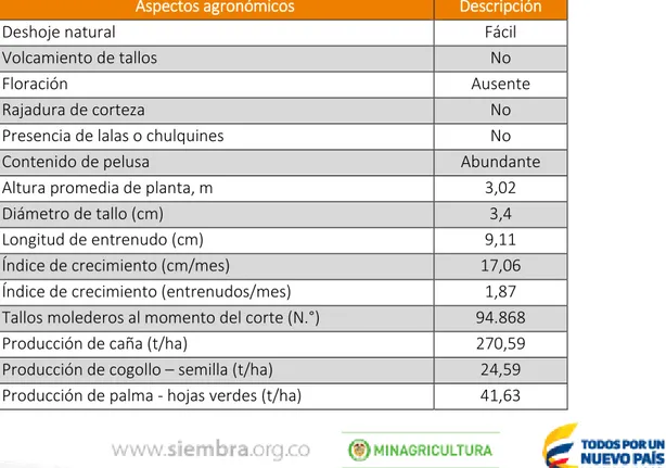 Tabla  10.  Parámetros  de  identificación  y  de  comportamiento  agronómico  de  la  variedad CC 93-7711 a los 17,73 meses (532 días) de edad del cultivo