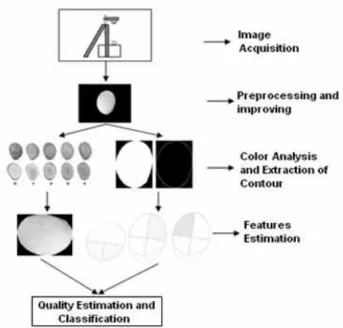 Figure 1. Proposed method for the classification  process of Mangifera Indica L Fruit 