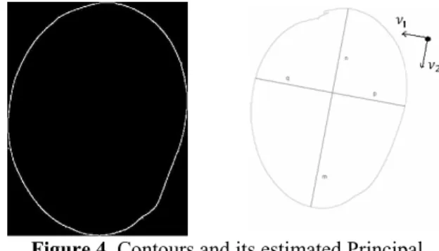 Figure 4. Contours and its estimated Principal  Components 