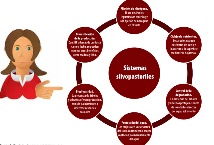 Figura 6. Beneficios de los sistemas silvopastoriles