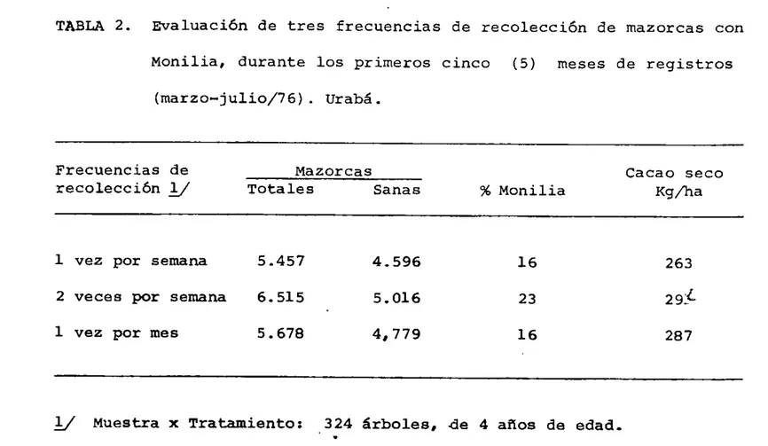TABLA 2. Evaluación de tres frecuencias de recolección de mazorcas con Monilia, durante los primeros cinco (5) meses de registros