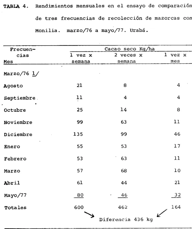 TABLA 4. Rendimientos mensuales en el ensayo de comparación de tres frecuencias de recolección de mazorcas con Monilia