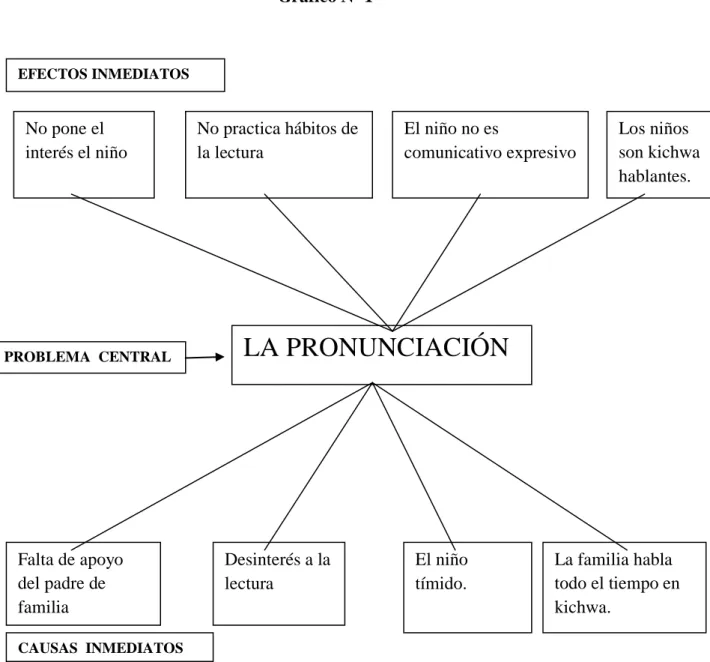 Gráfico Nº 1  
