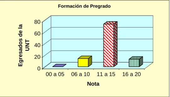 CUADRO Nº 14: NIVEL DE FORMACIÓN PROFESIONAL EN PREGRADO 