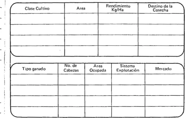 CUADRO  RESUMEN 