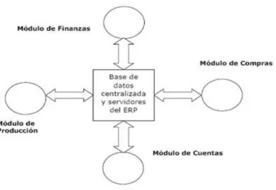 Fig. 1. Esquema ejemplo de una tecnología modular propia de un ERP. 